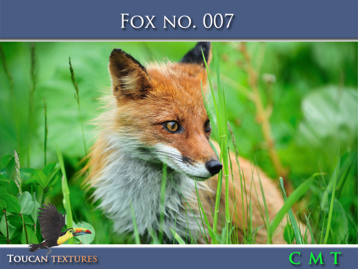 [Toucan Textures] Fox No. 007