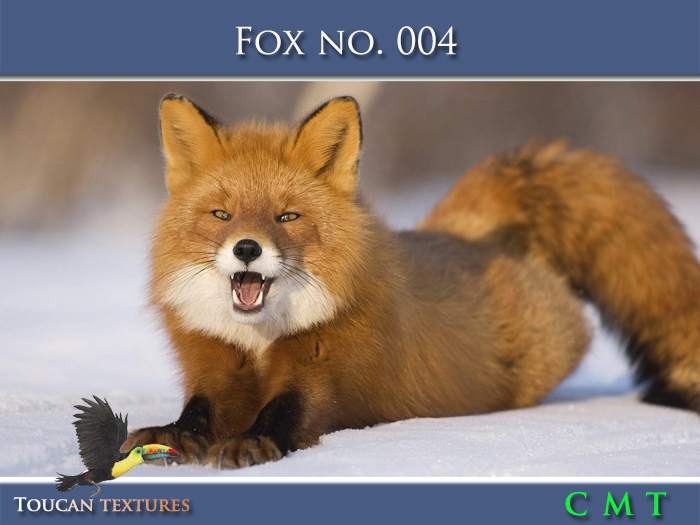 [Toucan Textures] Fox No. 004