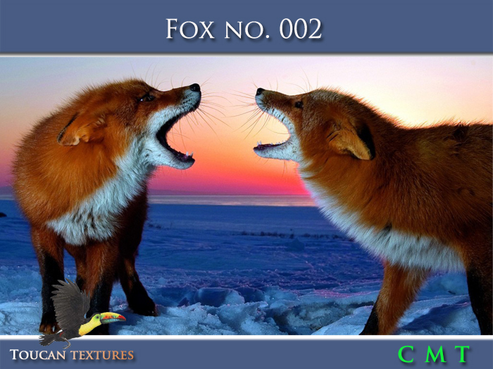 [Toucan Textures] Fox No. 002