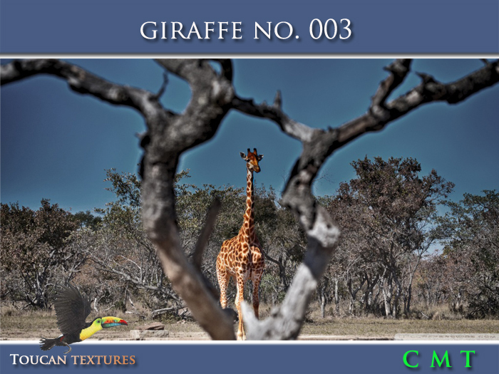 [Toucan Textures] Giraffe No. 003