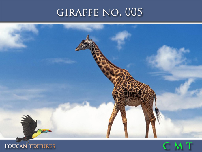 [Toucan Textures] Giraffe No. 005