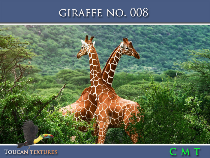 [Toucan Textures] Giraffe No. 008