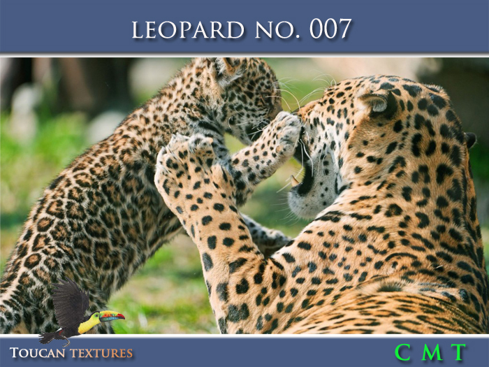 [Toucan Textures] Leopard No. 007