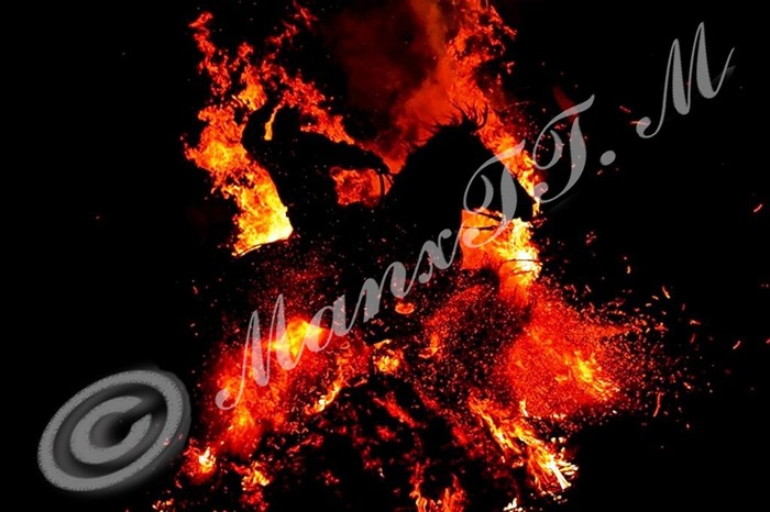 Horse in flames