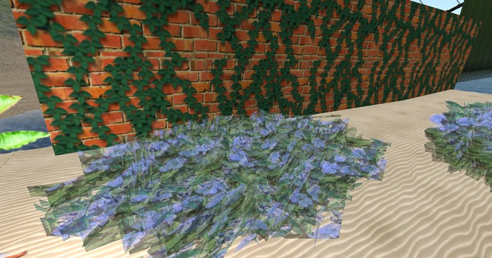 blue plants
