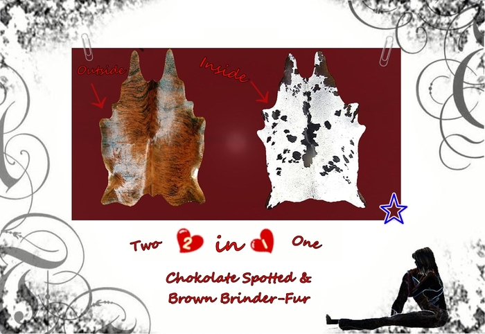 *Chocol.Spotted&BrownBrinderFur*