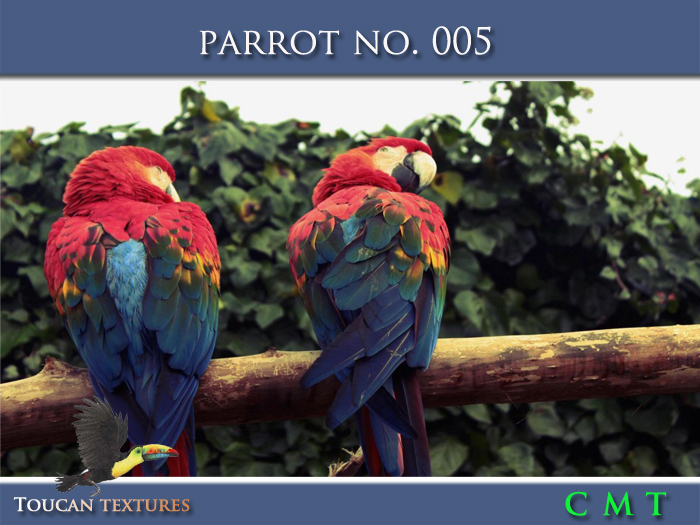 [Toucan Textures] Parrot No. 005