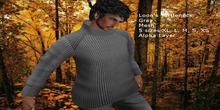 Loon's Cardigan (Demo)