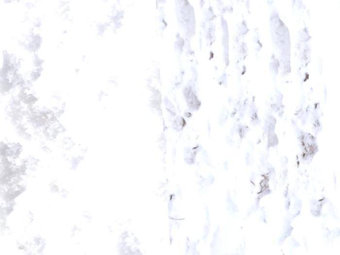 Snow Textures: Personal Use (An original ArchiTech Design Texture to enhance your landscaping and building products).