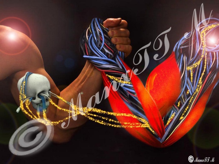 Muscles brow-G-3