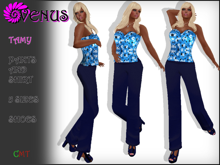 Tamy top shoes and pant blue