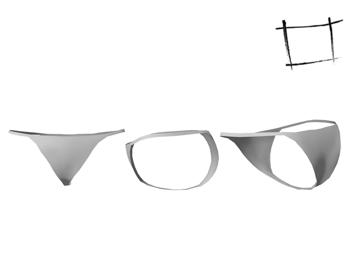 FULL PERM Rigged WC Mesh Briefs