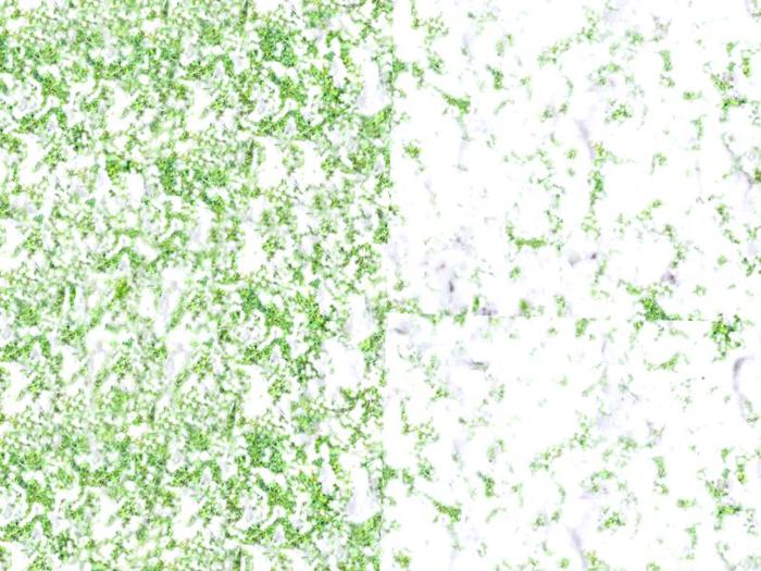 Ground Snow 1: Personal Use (An original ArchiTech Design Texture to enhance your landscaping and building products).