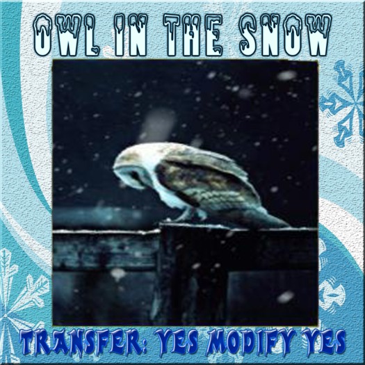 BBD - Owl in the Snow
