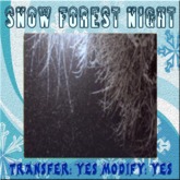 BBD - Snow forest Night