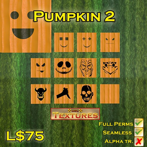 USC Textures - Pumpkin 2 