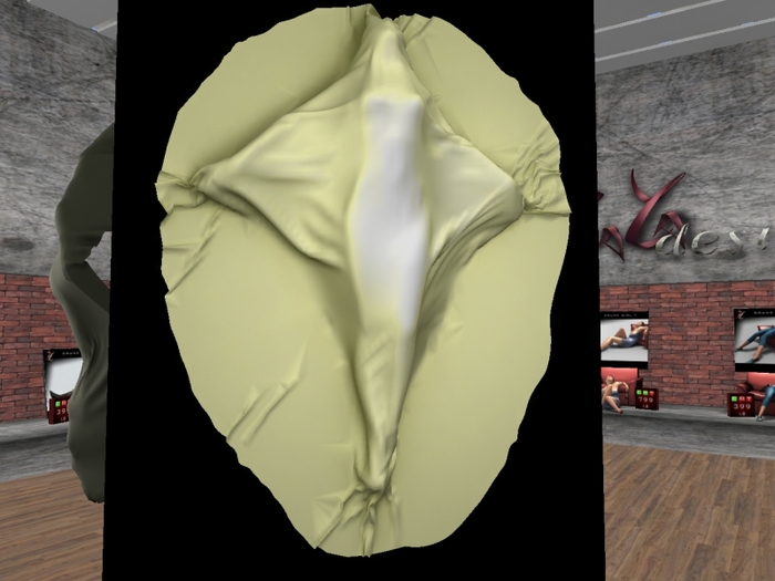 CLOTH GIRL 1 (COPY,MODIFY)