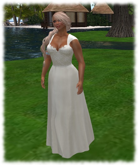 Kate ivory gown MESH