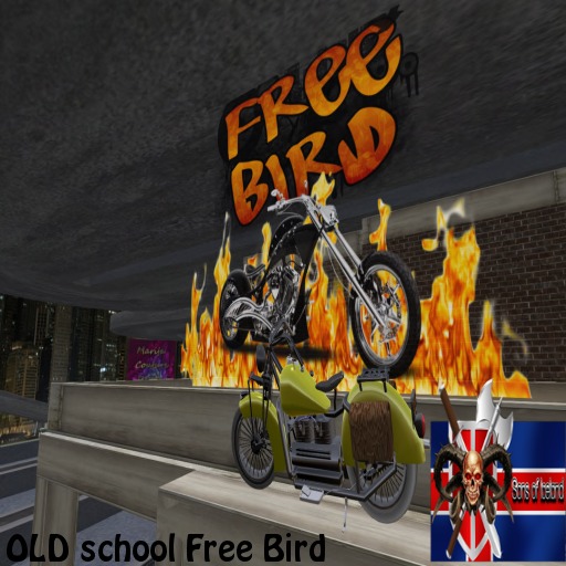 350 OLD school Free Bird BIKE