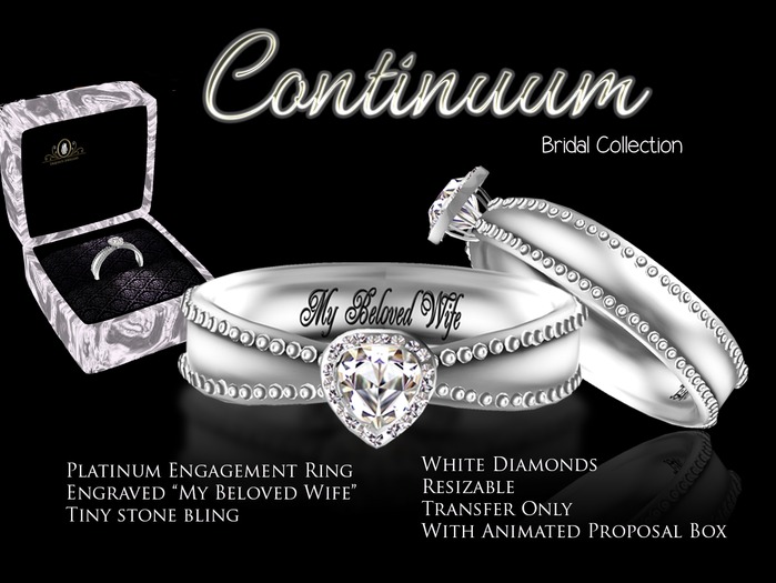 Exquisite Continuum Platinum Engagement Ring