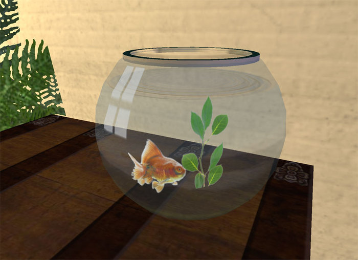 stupid little fish