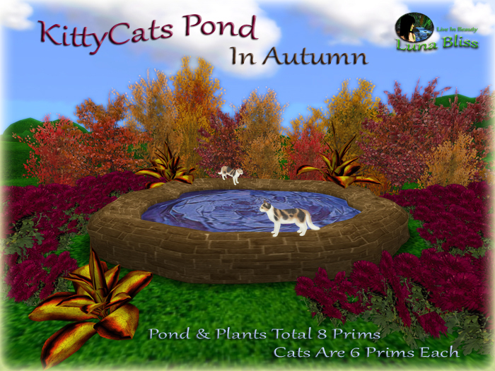 KittyCats Pond In Autumn