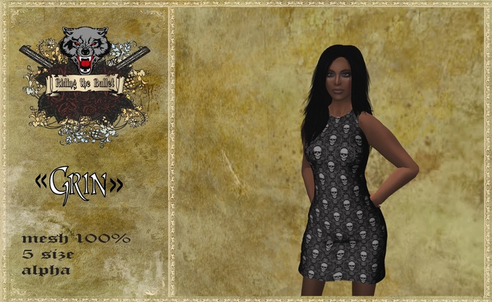 <<Grin>> Mesh Dress