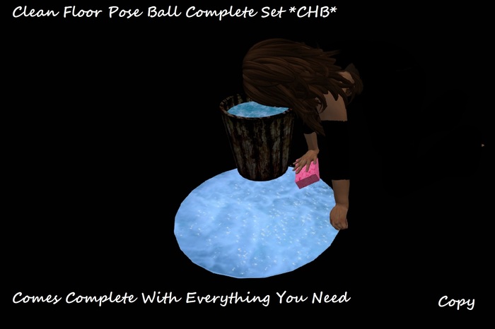 Clean Floor With Sponge Complete Pose Set *CHB*