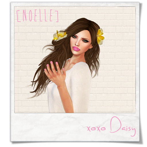 [noelle] Daisy - brown