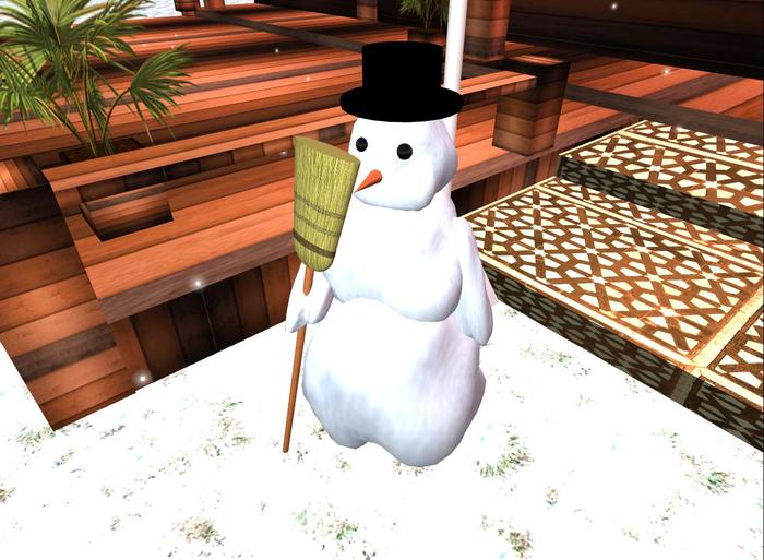 MUSIC SNOW MEN