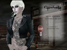 {REVERIE} Mesh Cropped Leather Jacket - Caledonia