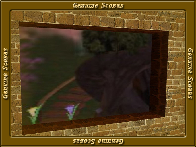 Scobas Standalone Tinting Working Window Scripted
