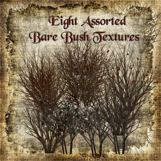 Bad Katz  Assorted Bare Bushes