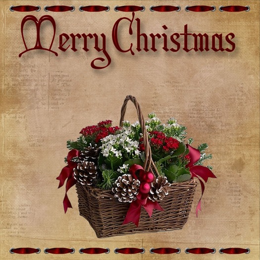 Christmas Greeting Card