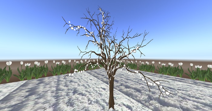 plants-picks snow sunrise