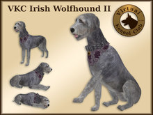 VKC Irish Wolfhound II Delivery Kennel - Artificially Intelligent (AI) Pathfinding Trainable Dog - No Food Required