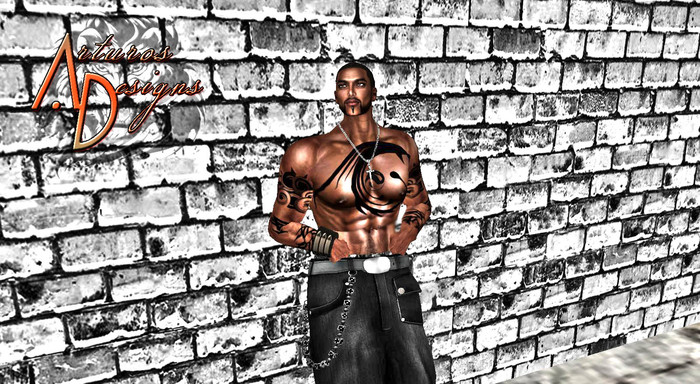**Shimata** Chest/Arm Tattoo Combo