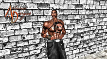 **Shimata** Chest/Arm Tattoo Combo