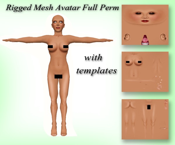 full mesh avatar with template
