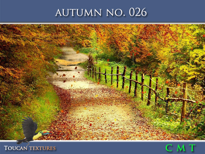 [Toucan Textures] Autumn No. 026