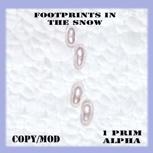Foot prints in the snow 1