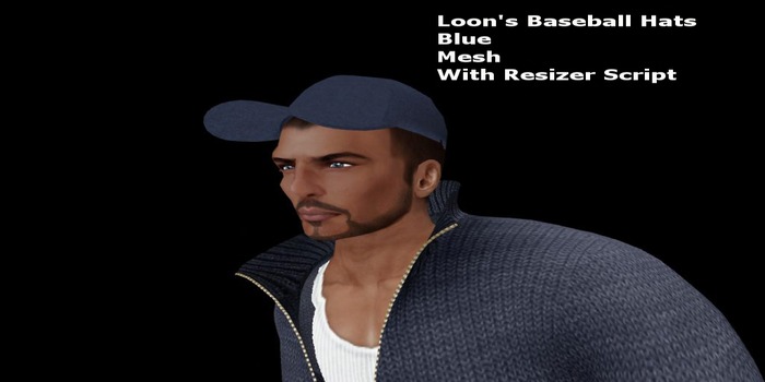 Loon's Baseball Hat Blue 