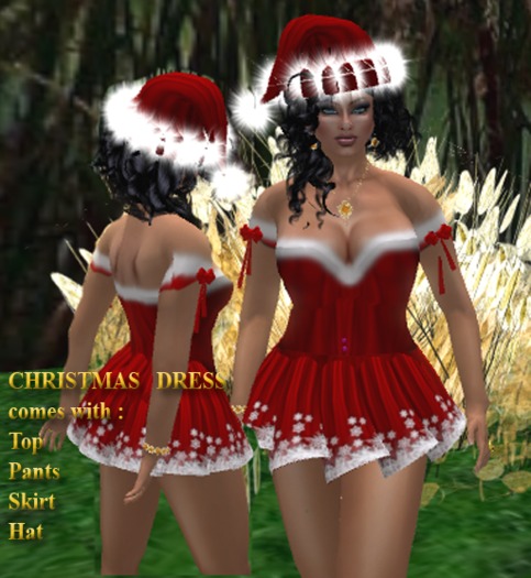 Christmas Dress