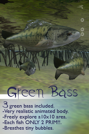 3 Free-swimming Fish - Green Bass