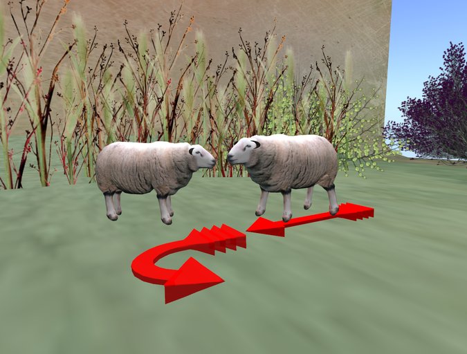 sheep - mouton - pack