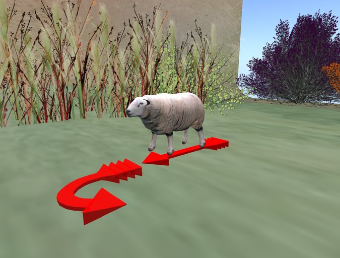 sheep - mouton - move