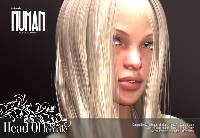 Acacia - Human: Head 01 Female