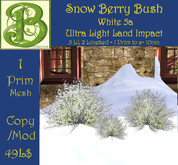 Winter Snow Red Berry Bush