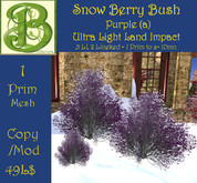 Winter Snow Red Berry Bush