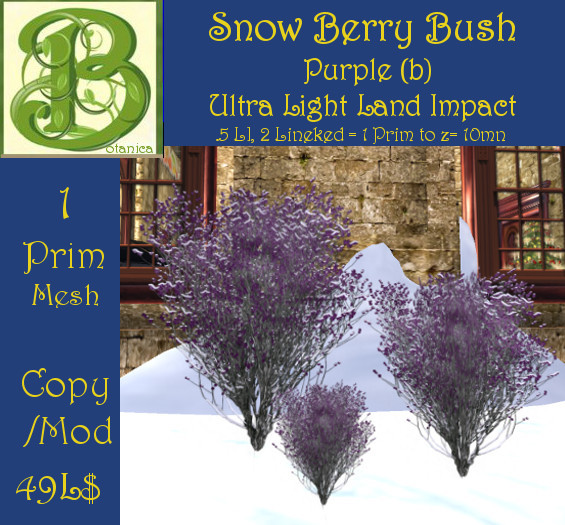 Winter Snow Red Berry Bush